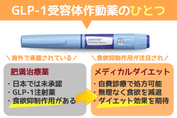 サクセンダとはGLP-1注射のひとつで肥満治療薬