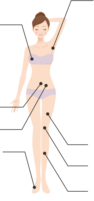 全身脱毛コース 前面