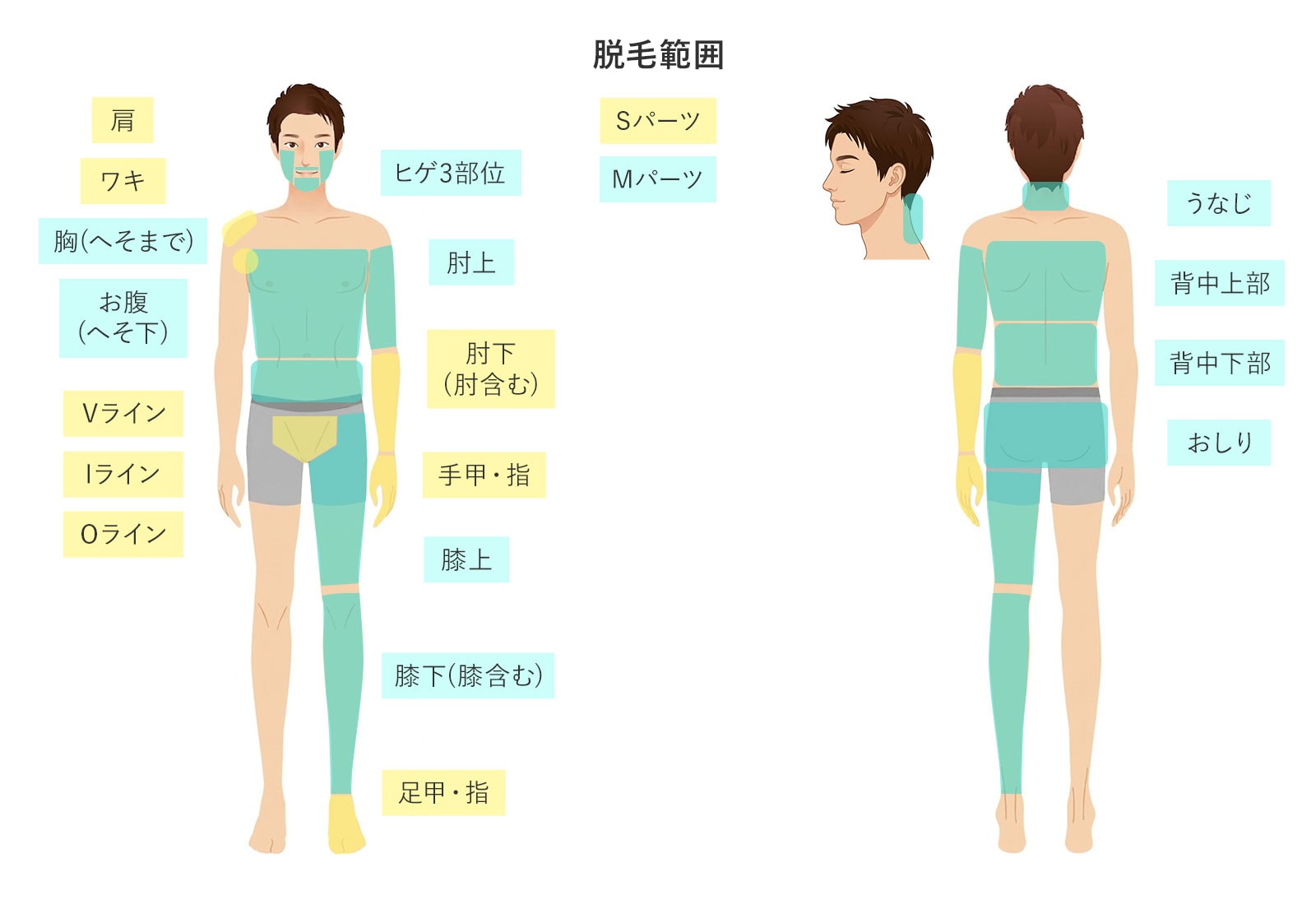 パーツ別脱毛