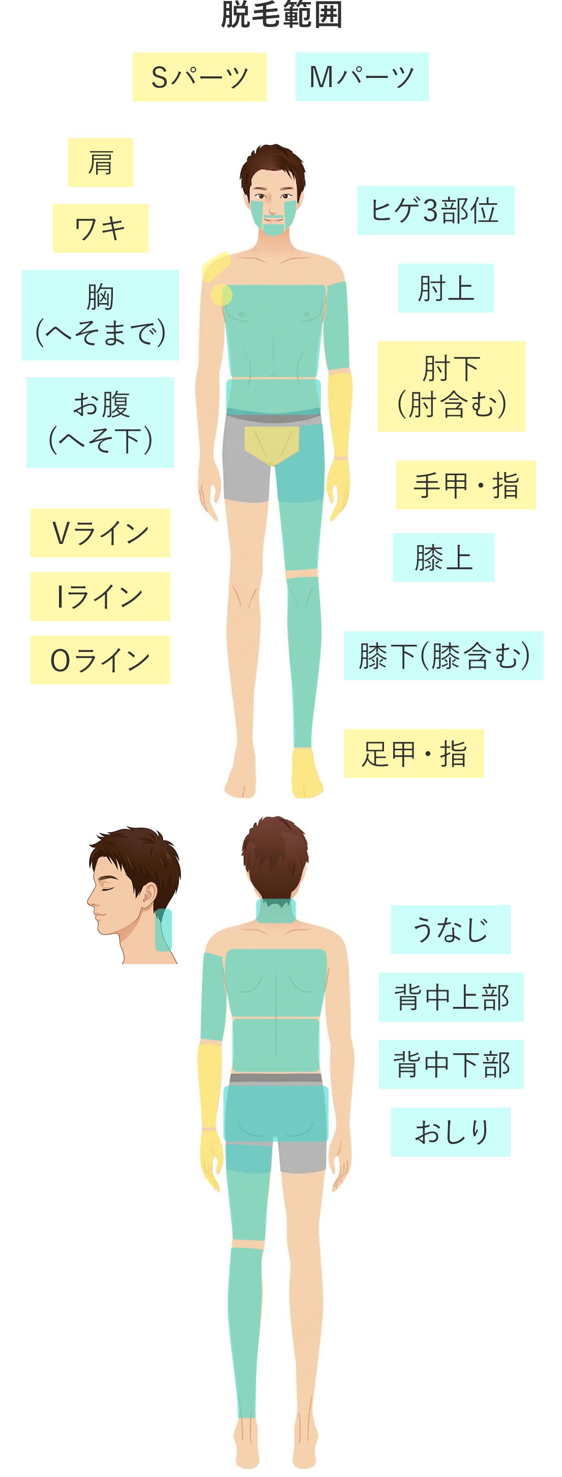 パーツ別脱毛