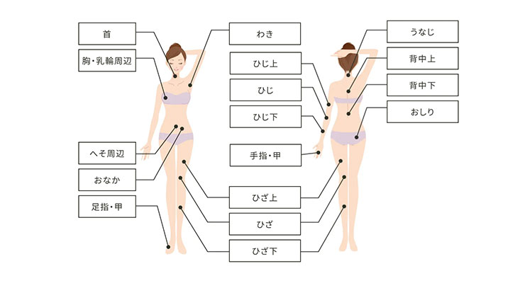 サンプルイメージ